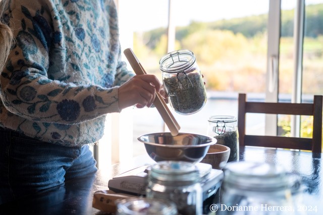 ATELIER D'INITIATION À L'HERBORISTERIE ET À LA CUISINE SAUVAGE