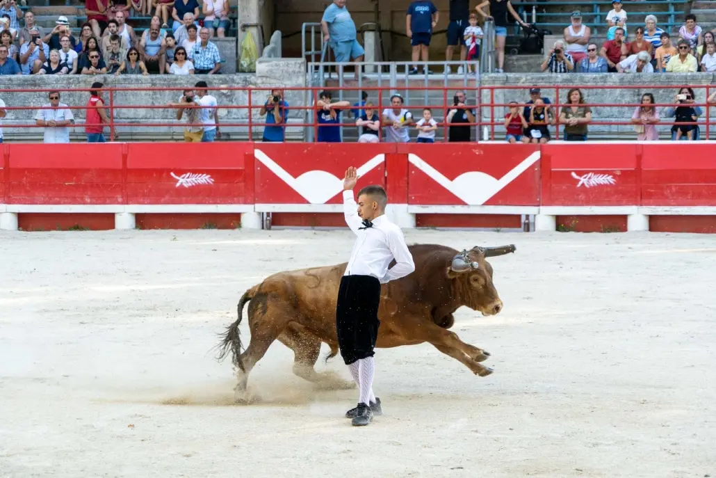 Spectacle des Recortadores