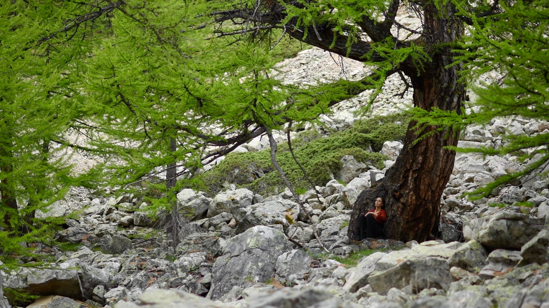 Les Rencontres de Villefavard - Caroline Audibert - Les Audionautes, à l'écoute des chants de la terre