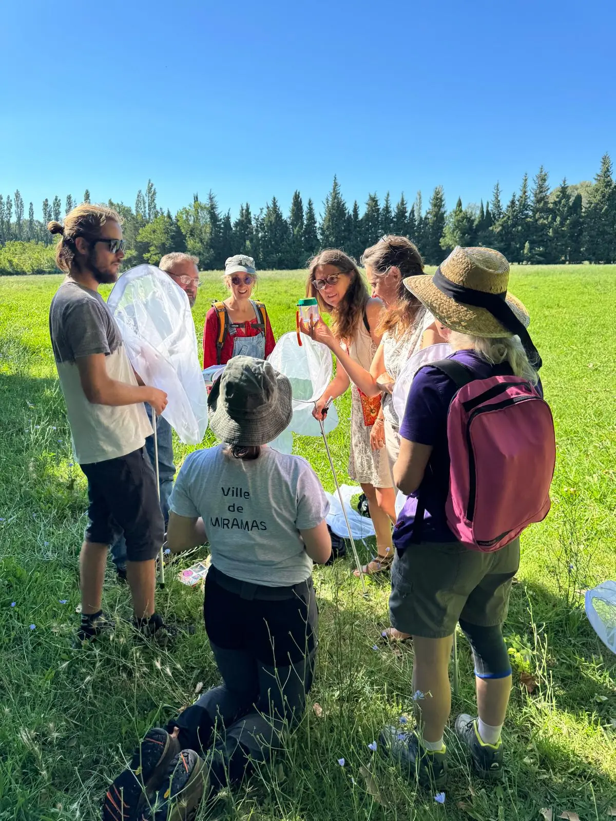 À la découverte des papillons à Miramas