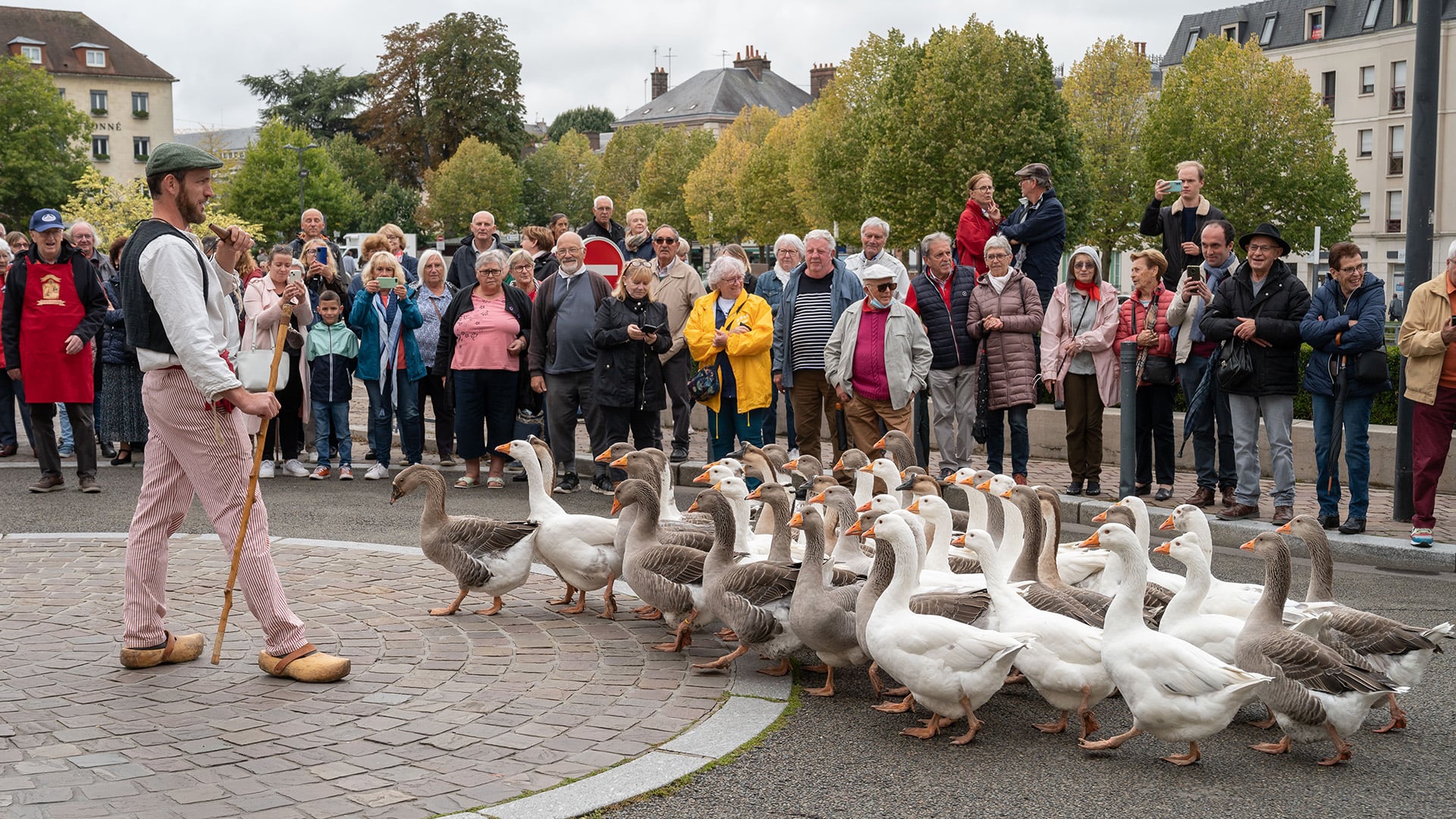 Fête des vendanges 2026