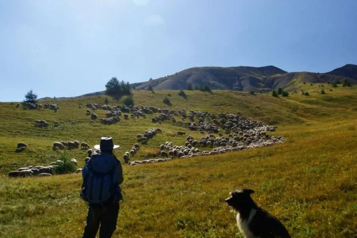 Sur les pas du berger : balade, contes et dégustation