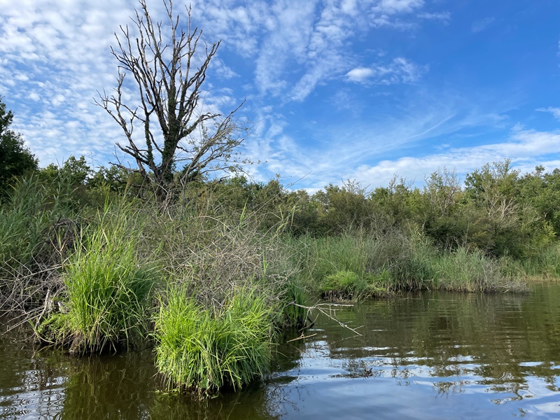 La Brenne, mosaïque de milieux