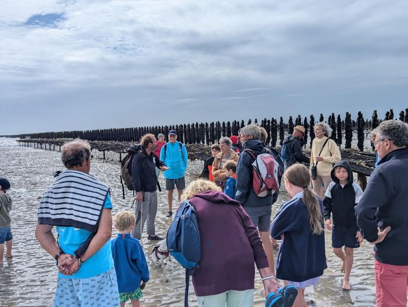 Balade nature : découverte du havre de la Vanlée
