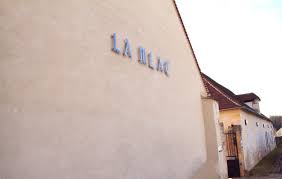 Kino Moutarde - Stage de réalisation de courts-métrages