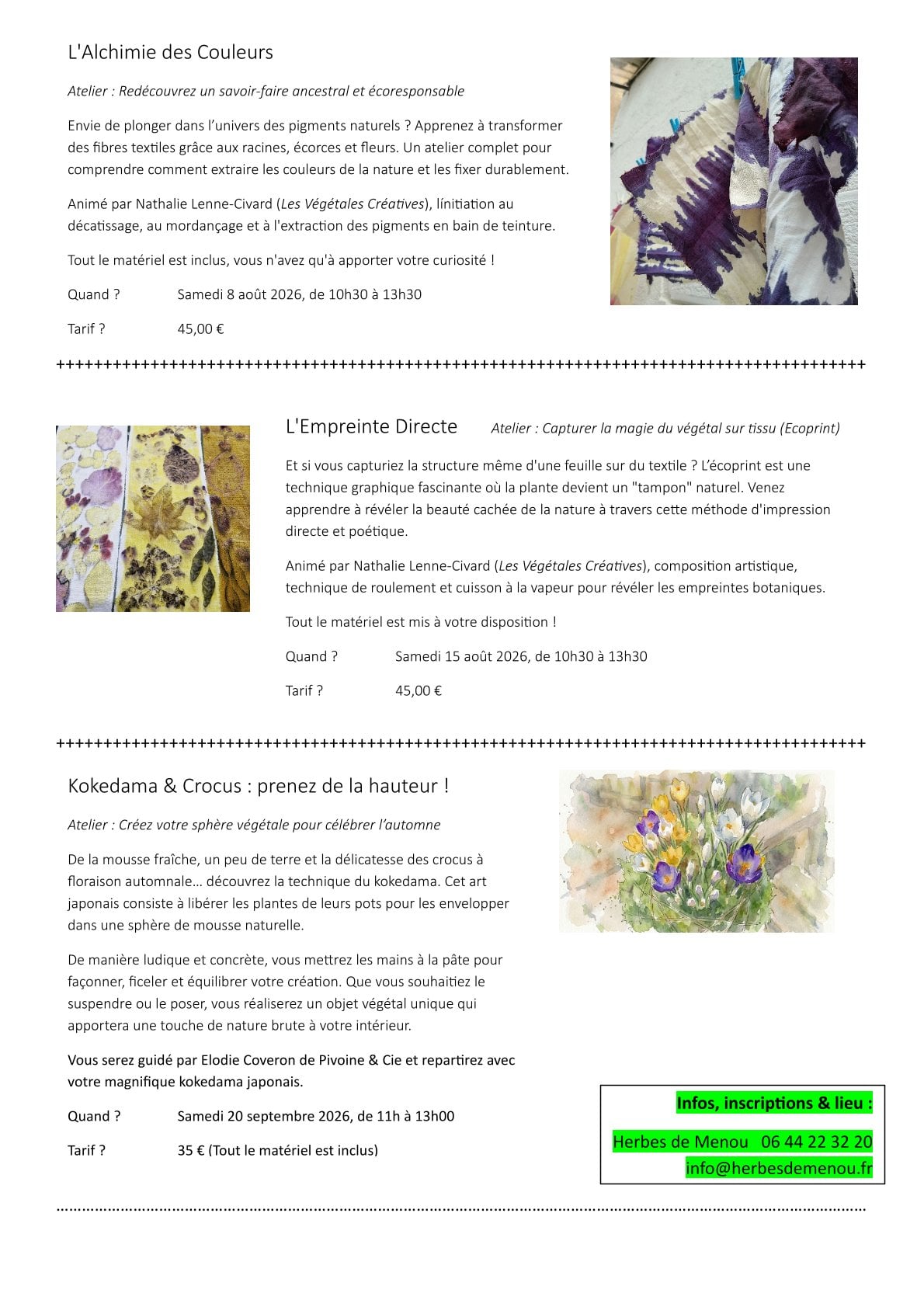 Atelier créatif chez Herbes de Menou : L'Alchimie des couleurs