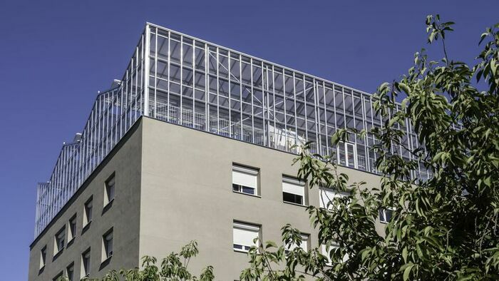 Une après-midi à la serre