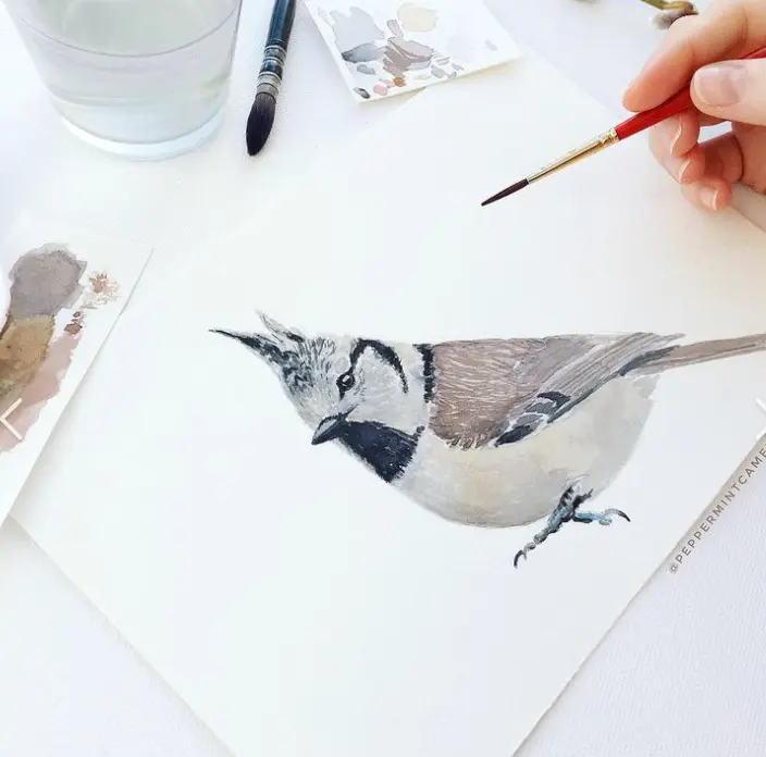 Atelier dessin d’illustration naturaliste