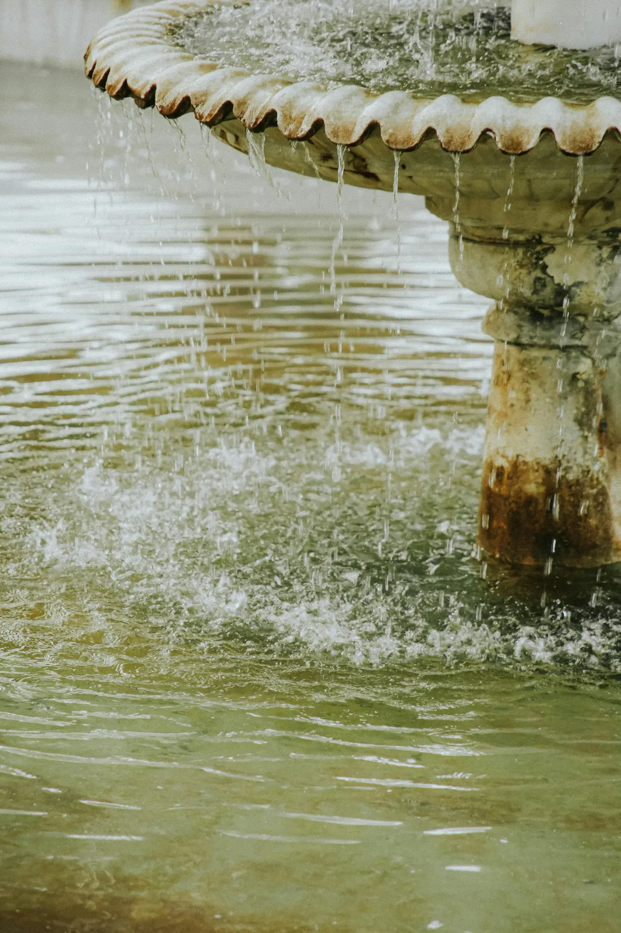 Conférence - Une histoire d’eau et de fontaines en Pays dignois