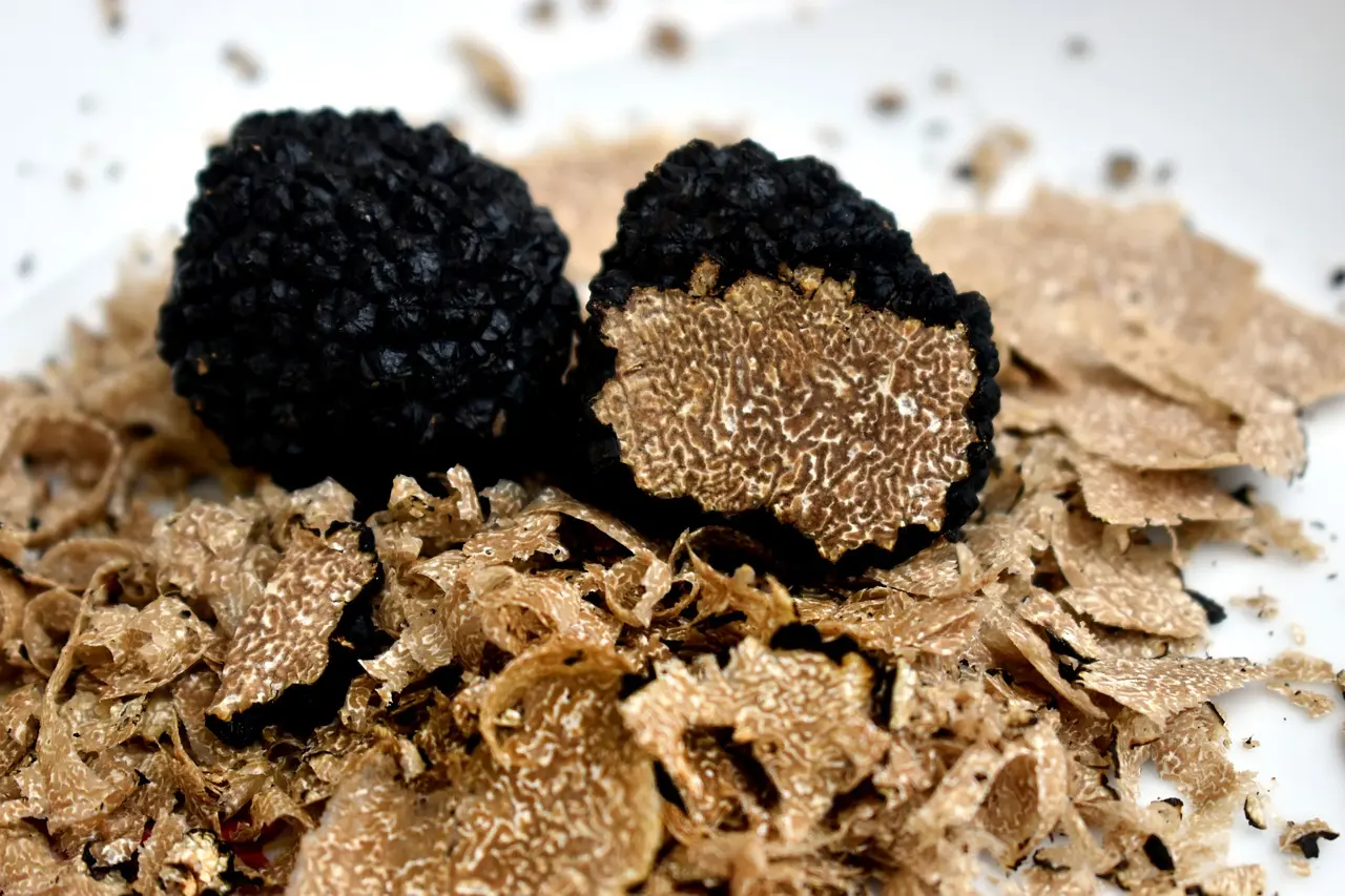 Marché de la Truffe