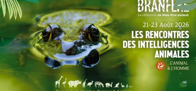 LES RENCONTRES DES INTELLIGENCES ANIMALES