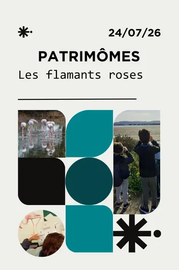 Patrimômes - Les flamants roses
