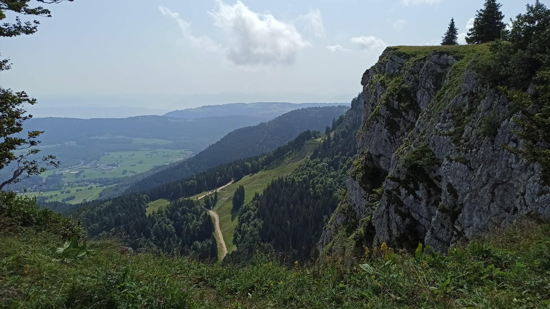 Sortie nature - Les crêtes du Mont d'Or : Faune, flore et histoire du Mont d’or