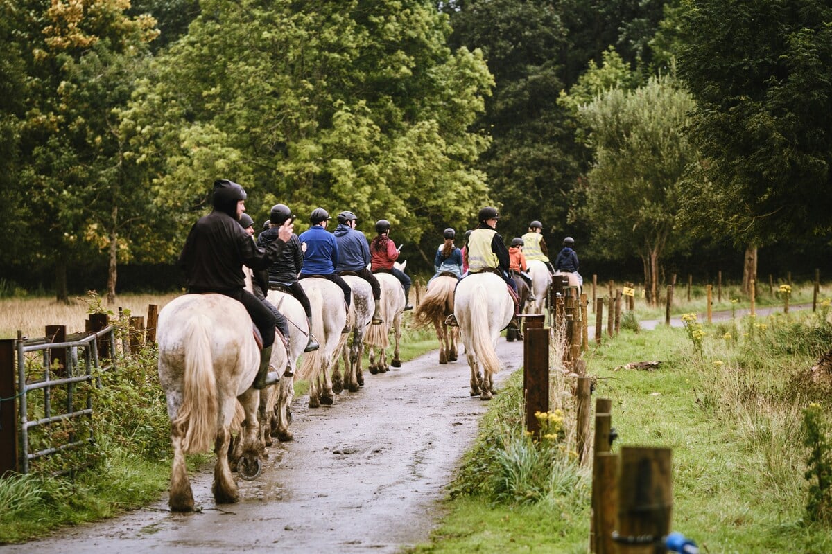 Eté actif 2026 : Equitation, balade en poney