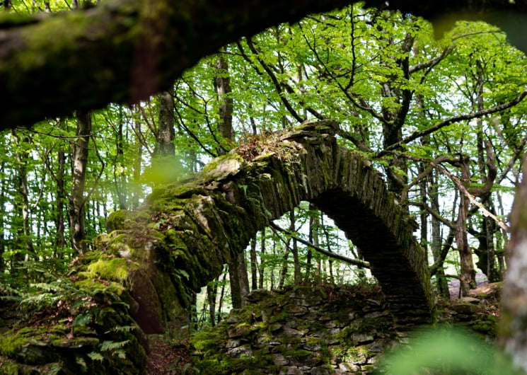 ESCAPADES EN MONTAGNE NOIRE – LE SENTIER DES GLACIÈRES