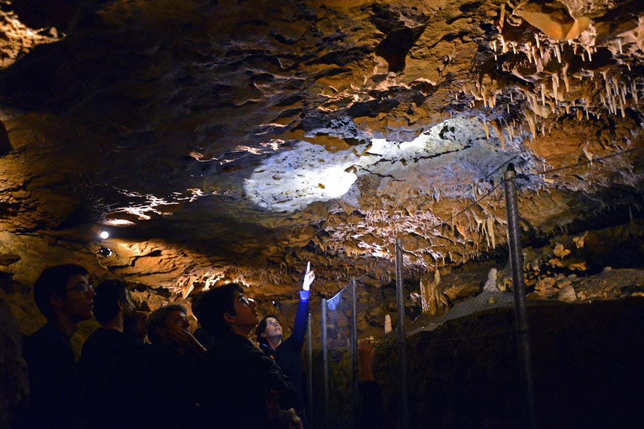 Percez le mystère des grottes de la Norée