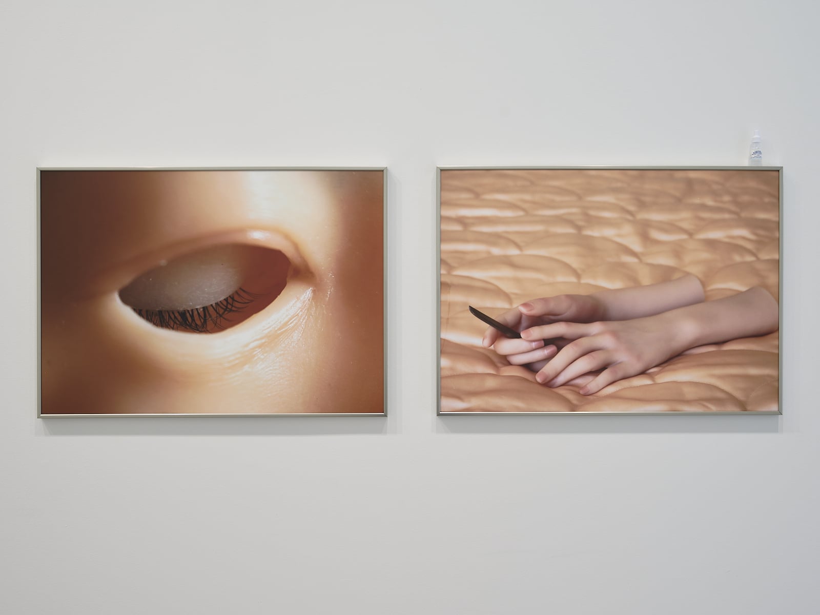 Exposition • là où les organes oragent