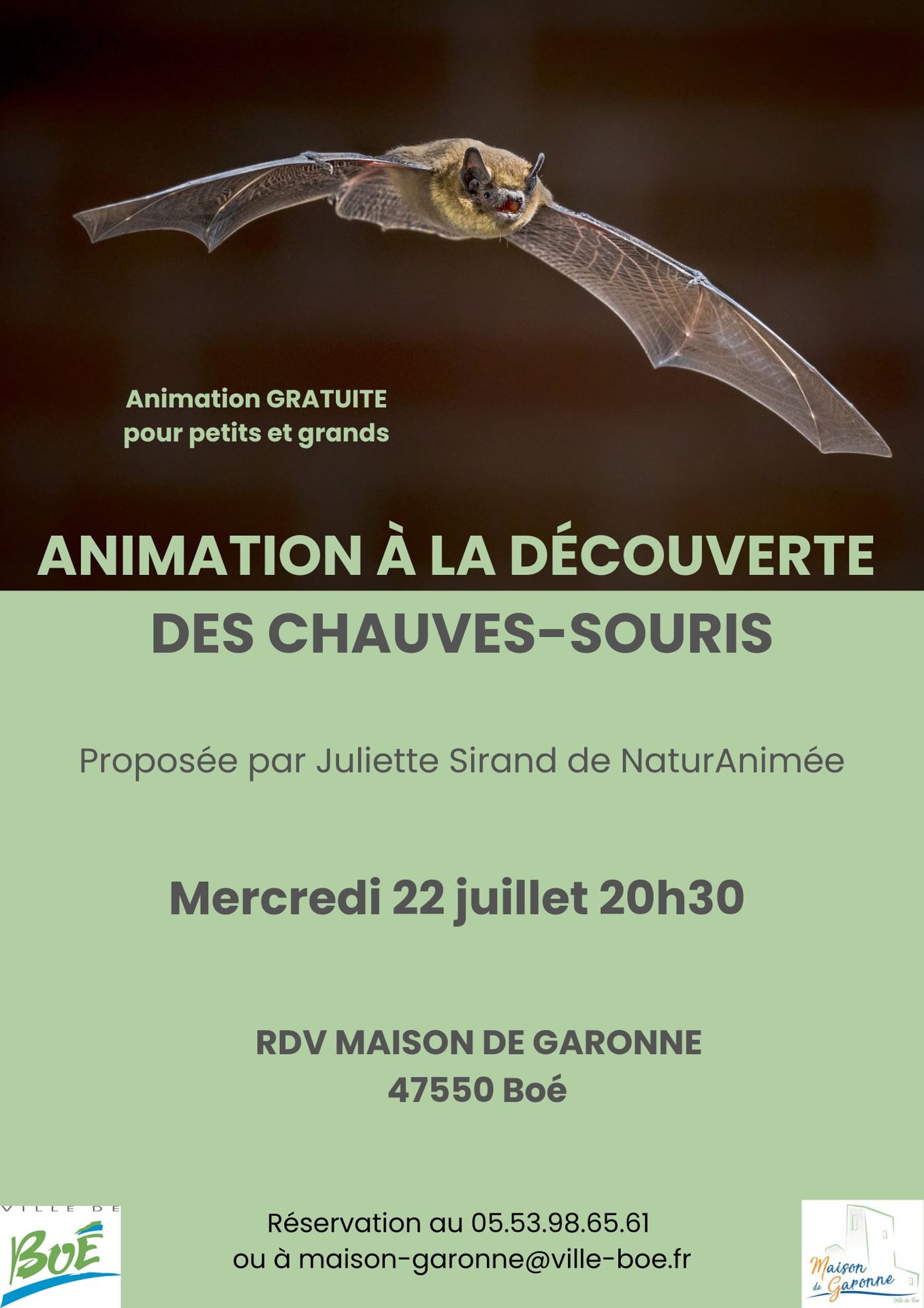 A la découverte des chauves-souris