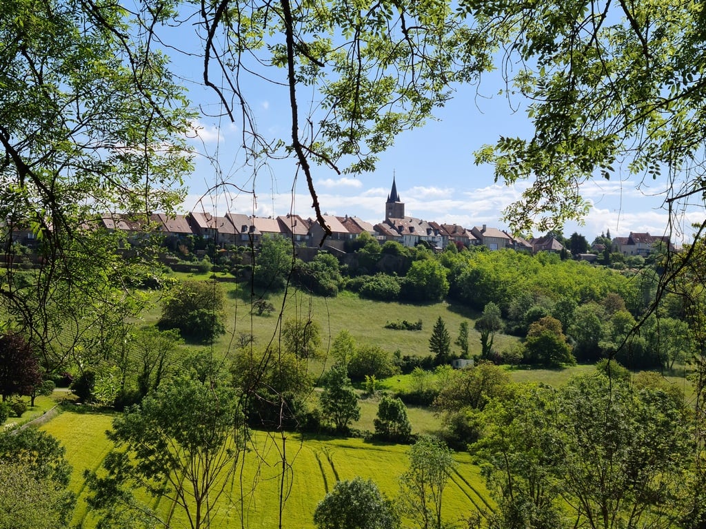 De la vigne au caveau du domaine Pignier