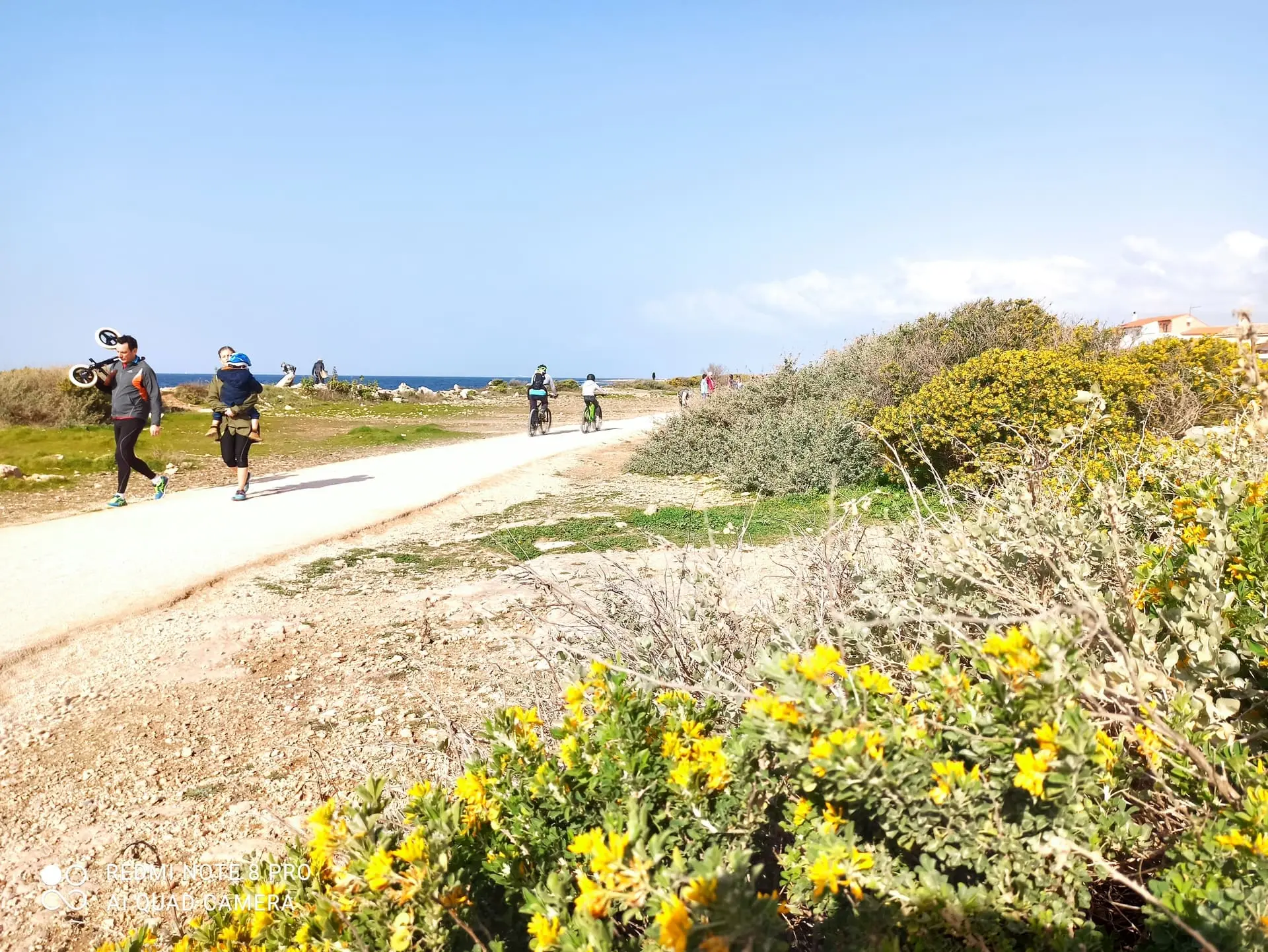 Marche en boucle Carro-Carro