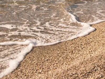 Les pieds dans l’eau by l’Institut océanographique Paul Ricard