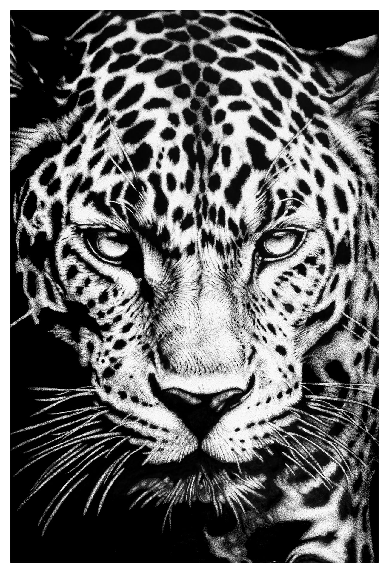 Les Estivales : Au Clair de la plume par Xavier Rolet