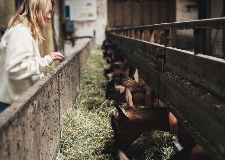Dor’Lot Emerveille : Visite à la Ferme La Borie d’Imbert