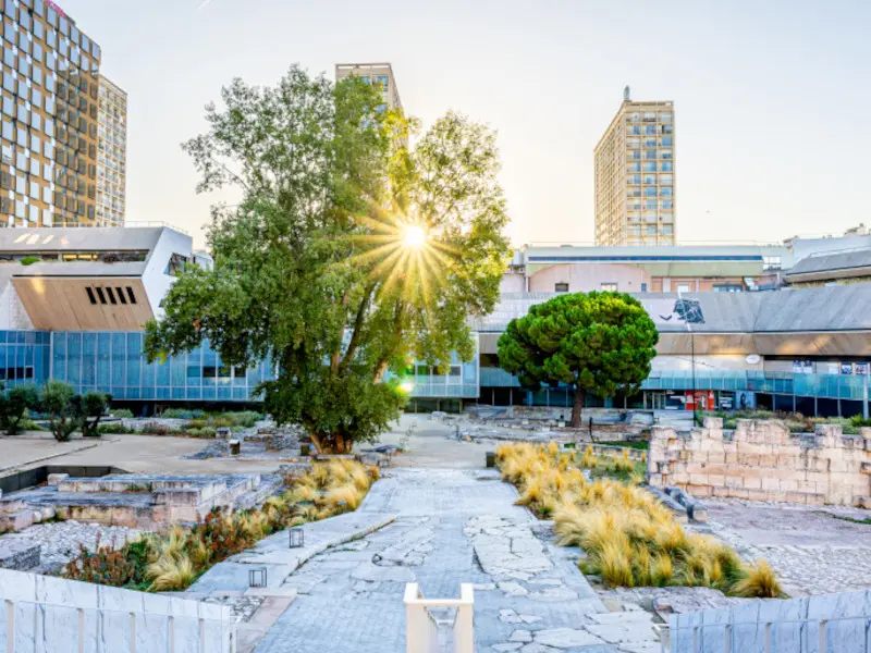 Mardis de l'histoire : La "belle illusion", le sport à Marseille au temps du Front populaire
