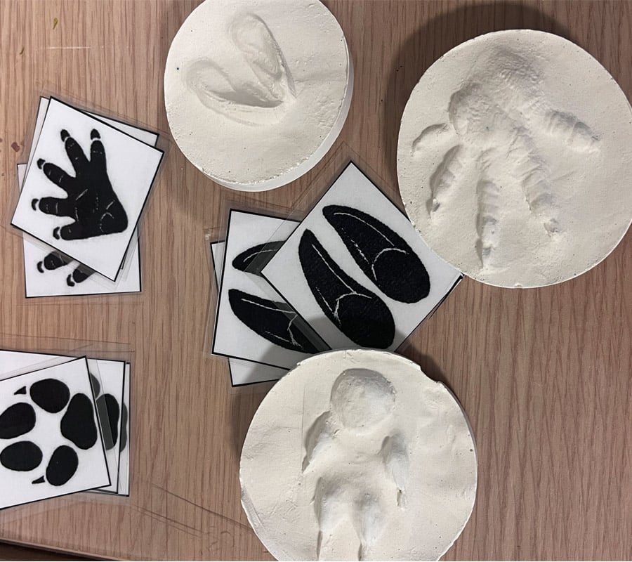 Atelier Bout d'choux Moulage d'empreinte animale