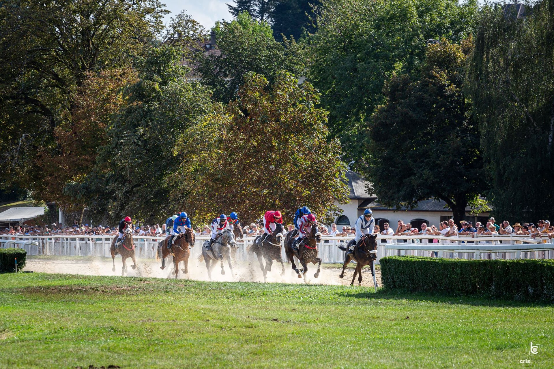 Courses hippiques : Brasero Party