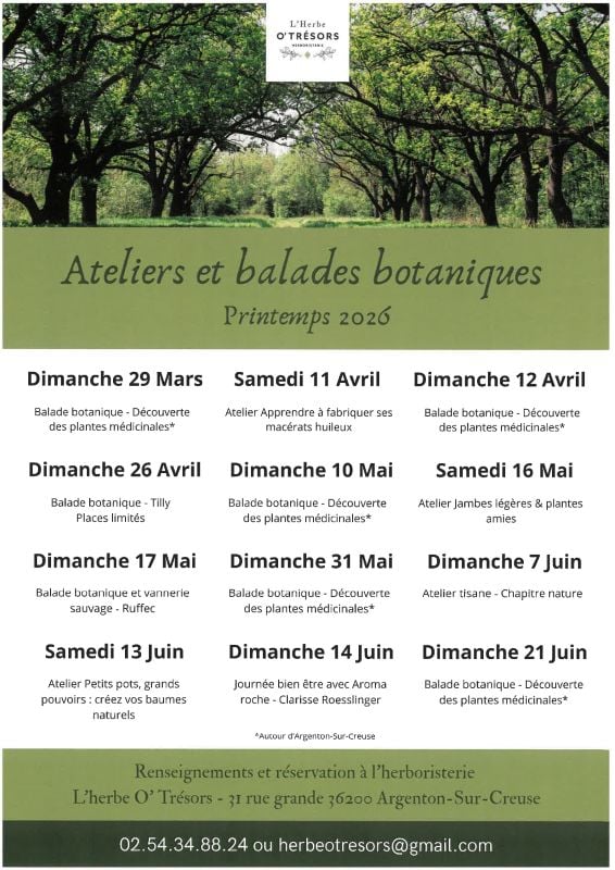 Ateliers et balades botaniques