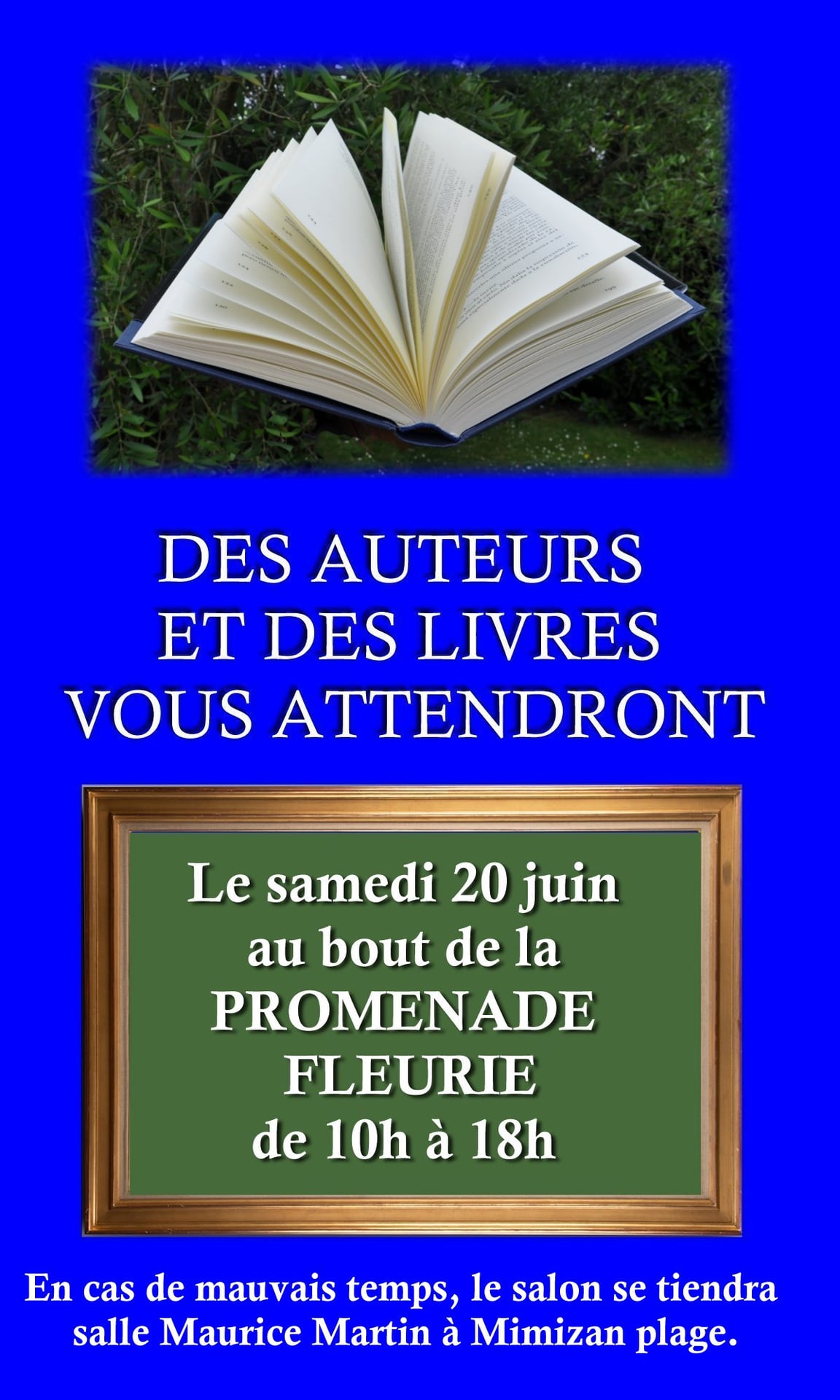 Salon du livre