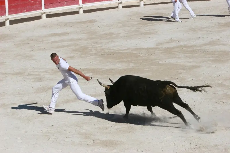 Journée camarguaise organisée le club taurin Mireille