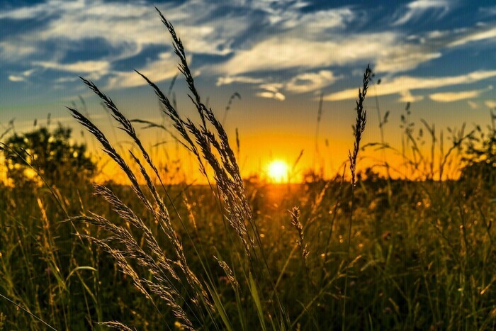 Balade familiale au coucher du soleil à Antran