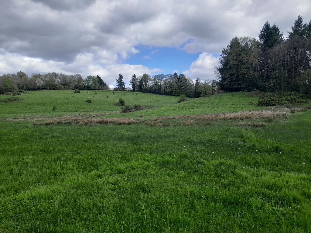 Vis ma vie de spécialiste des zones humides