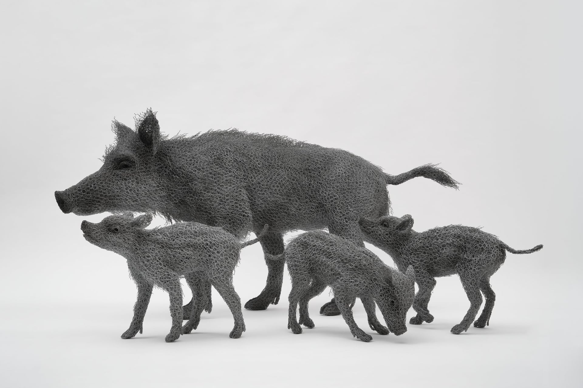Domaine de Sédières : Exposition : Nature