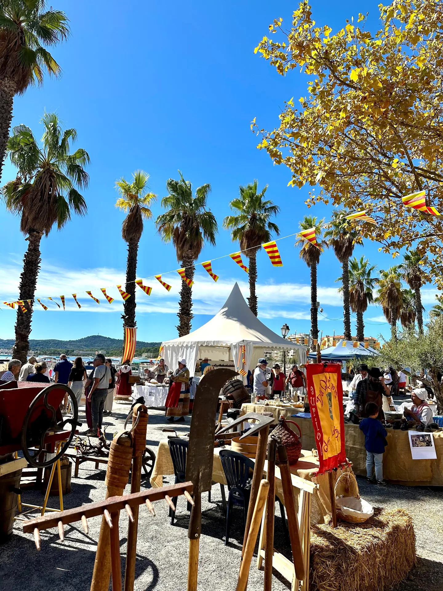 Le Lavandou couleur Provence