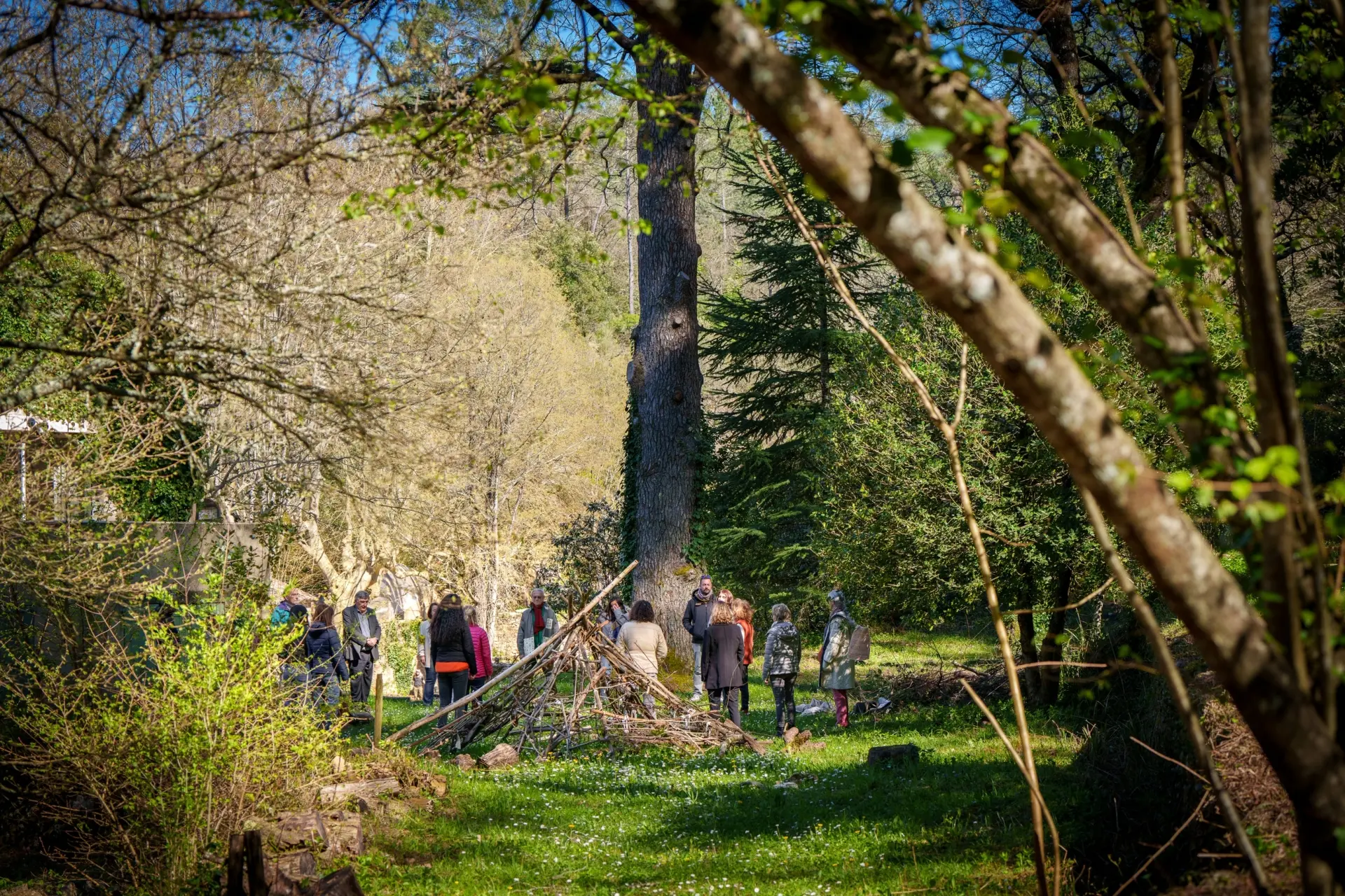 Bain de forêt | Nuits des forêts