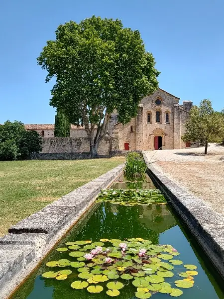 Pique-Nique et Visite guidée à l'abbaye