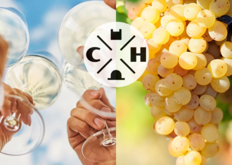 Initiation à la dégustation – Session été à la Maison des vins de Gaillac – « Les Instants C&H »