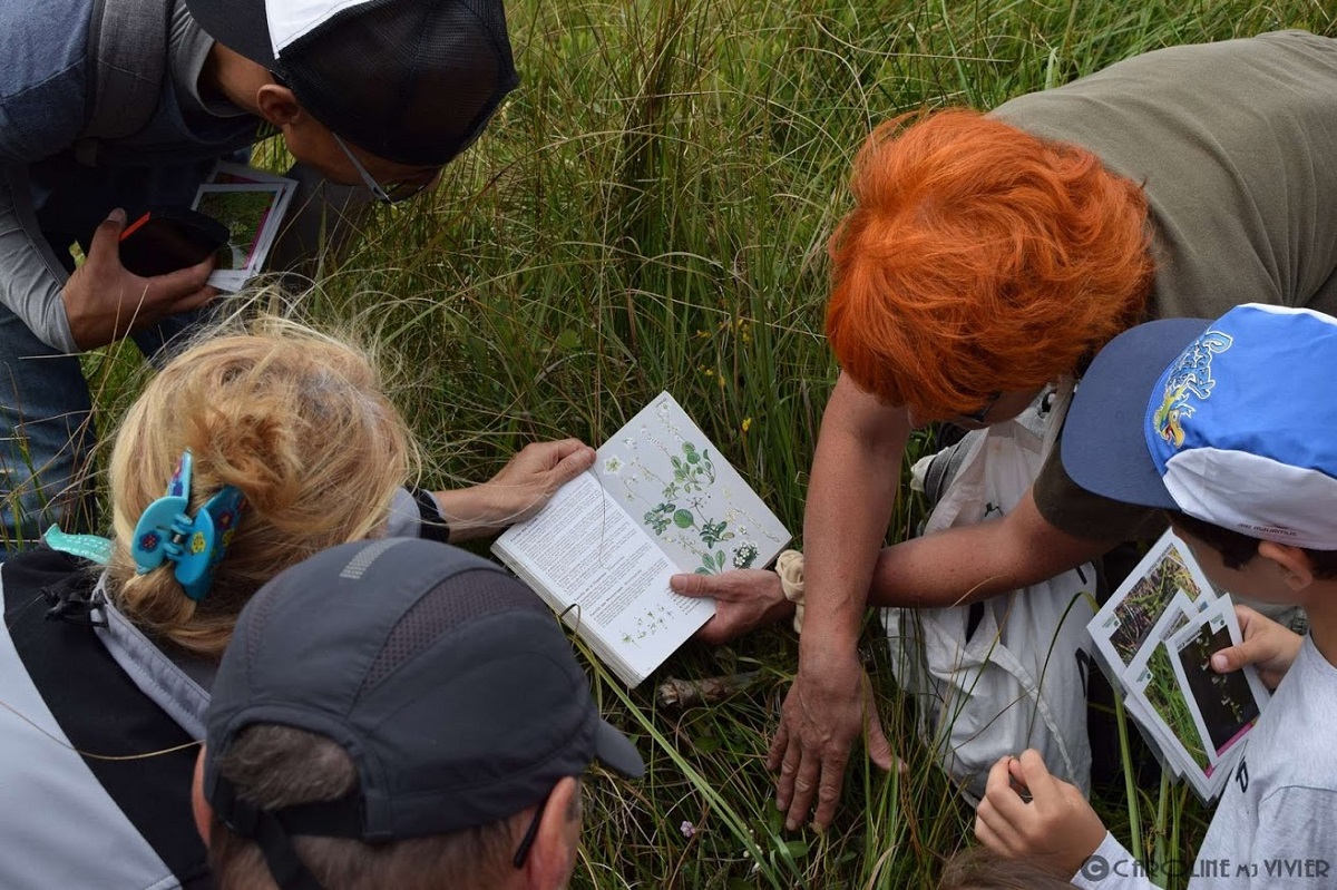 Au royaume des orchidées