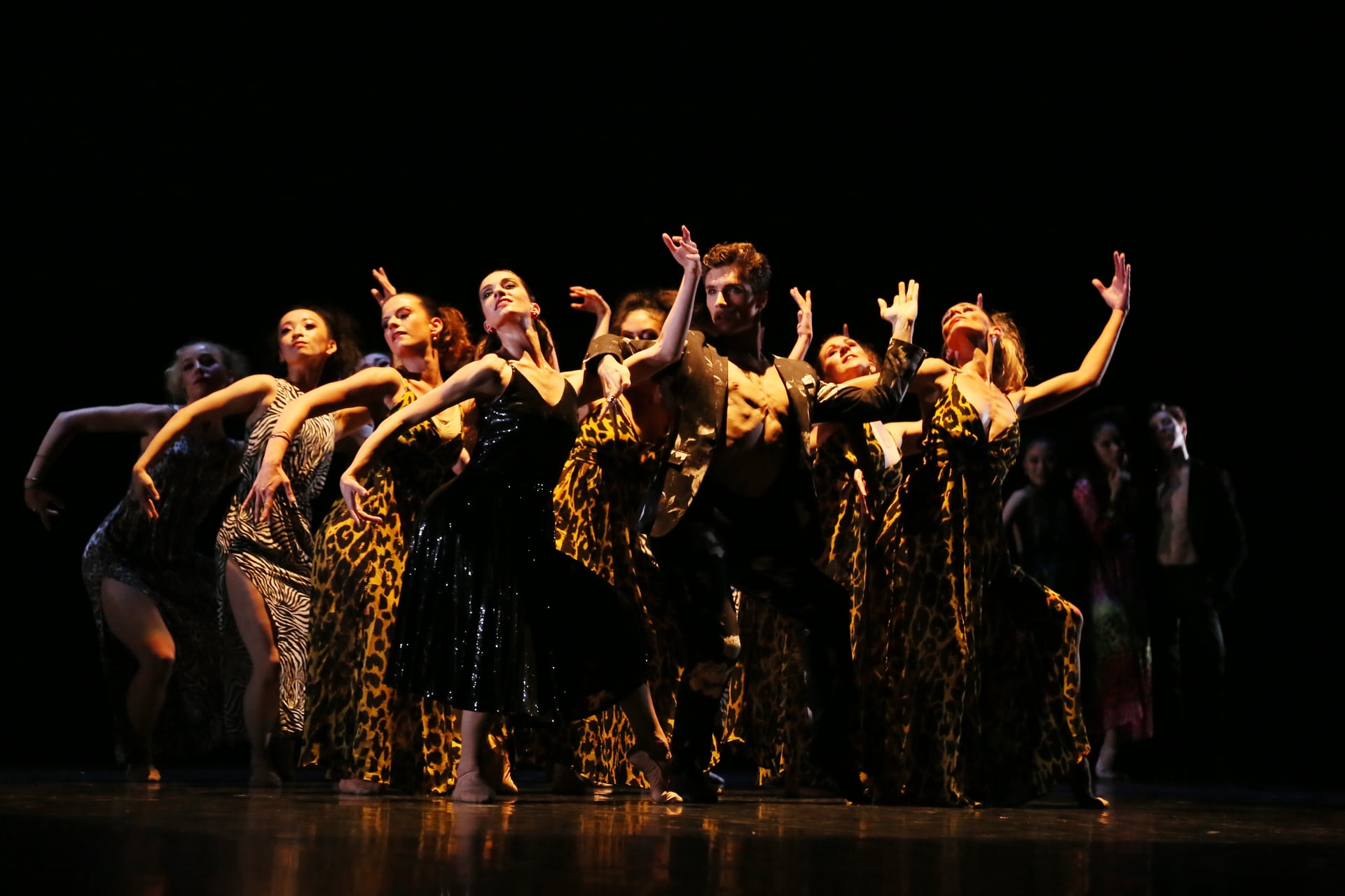 " CARMEN " Cie FRANÇOIS MAUDUIT