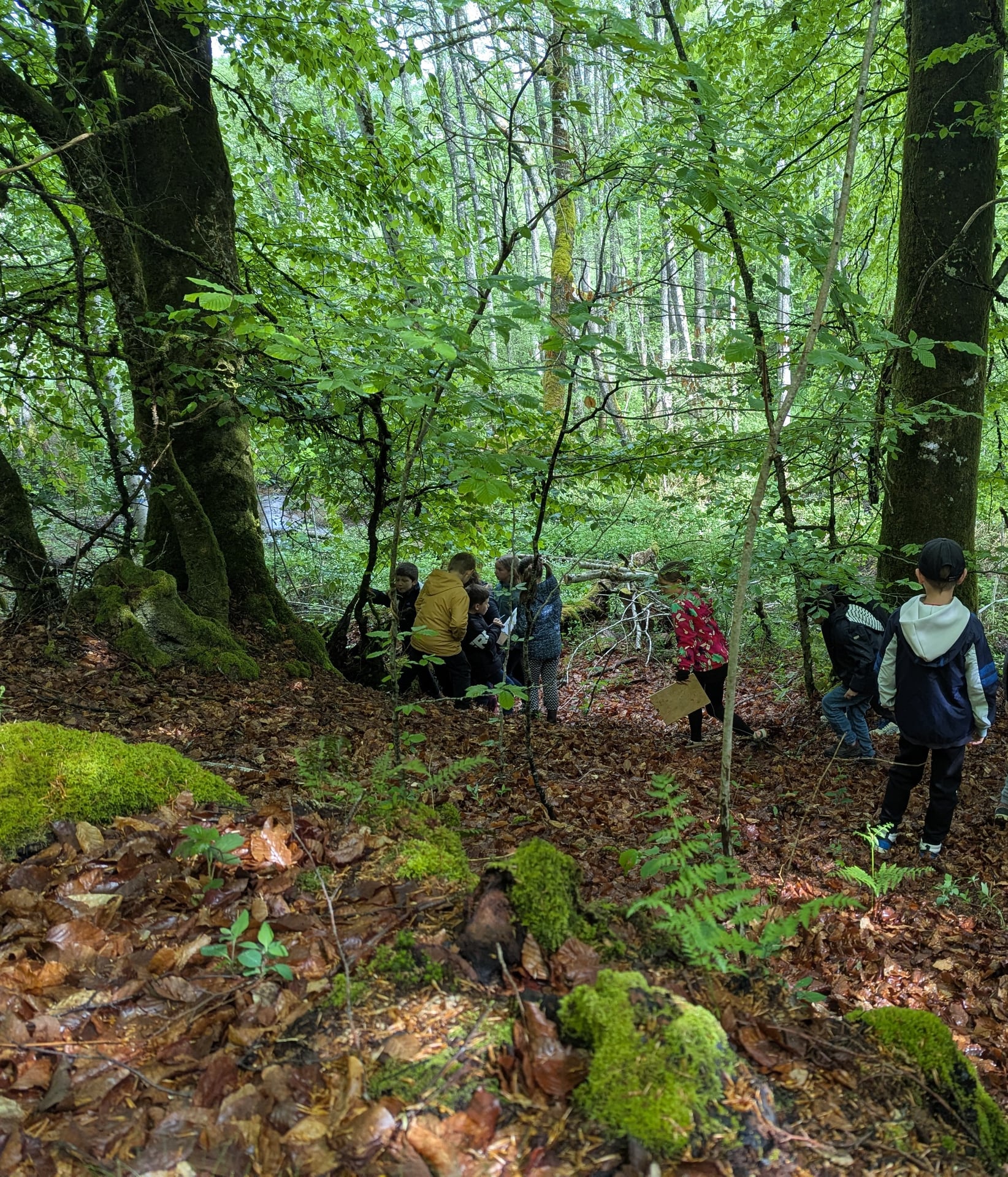 La balade des Grumelots