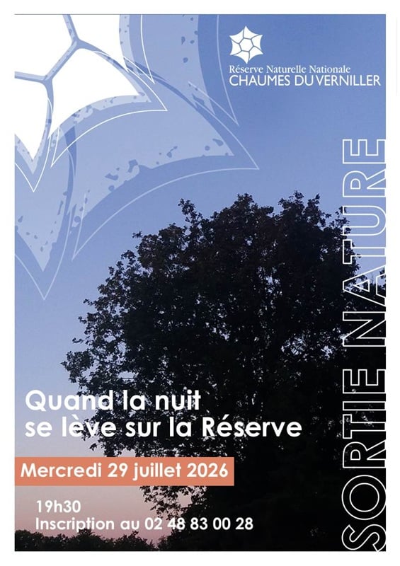 Sortie Nature : Balade Crépusculaire au Coeur de la Réserve Naturelle des Chaumes du Verniller