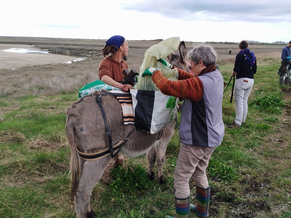Chantier de nettoyage havre de Surville