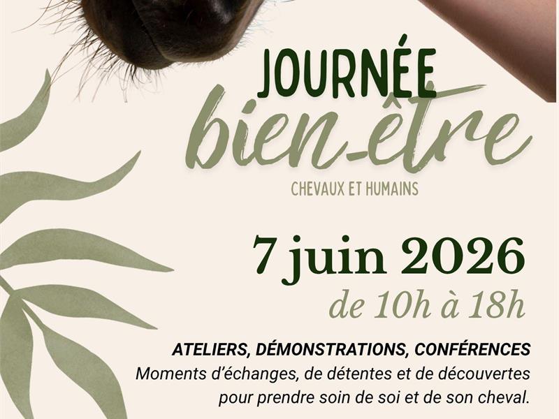 Journée bien-être chevaux et humains