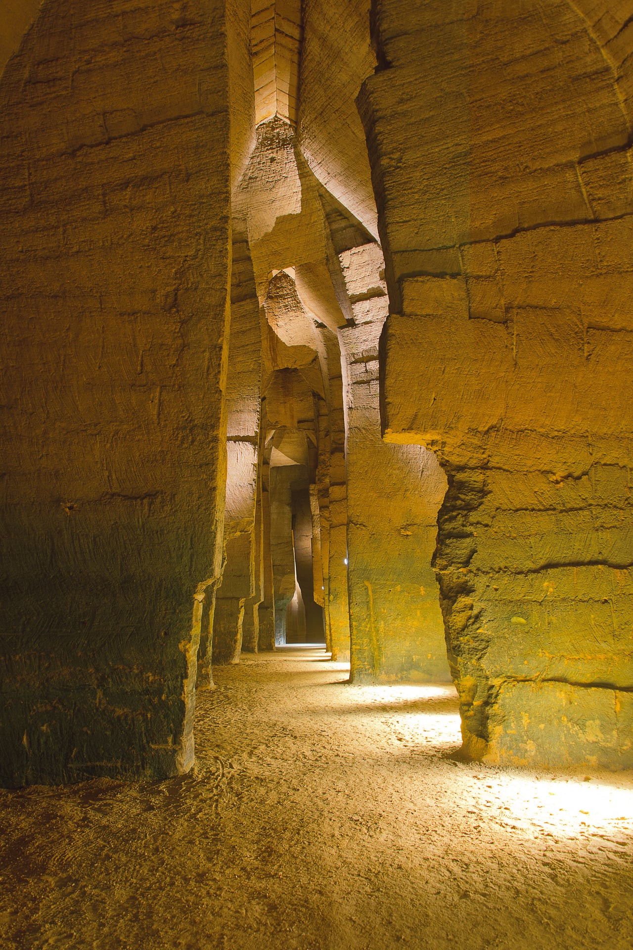 Les 1001 vies des troglos