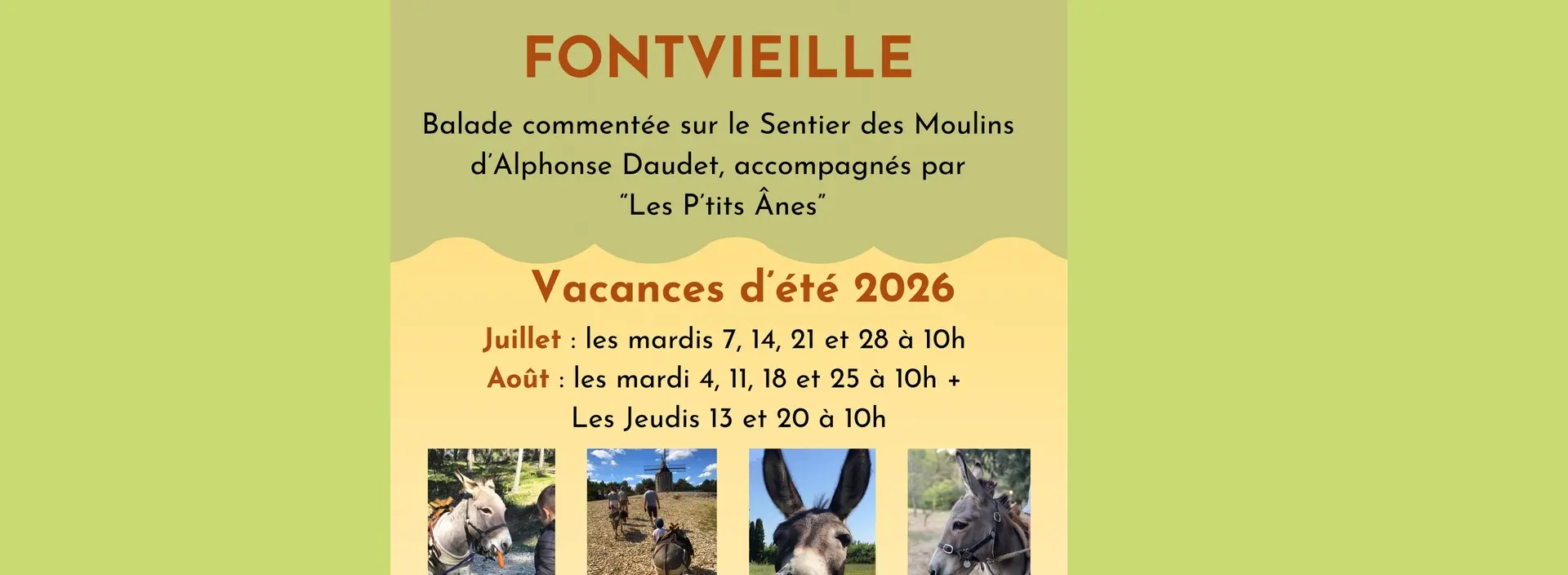 Balade commentée au pas de l'âne sur le Sentier des Moulins d'Alphonse Daudet