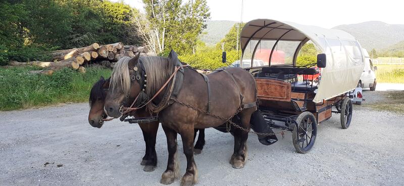 Promenades en calèches