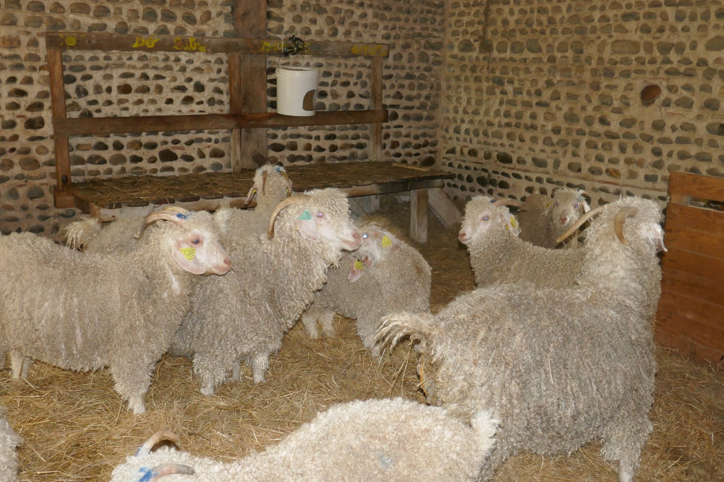 De ferme en ferme : Ferme Borda d'Arsaut